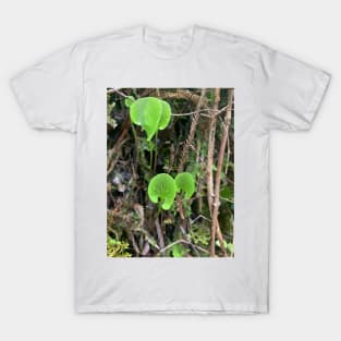 Kidney fern T-Shirt